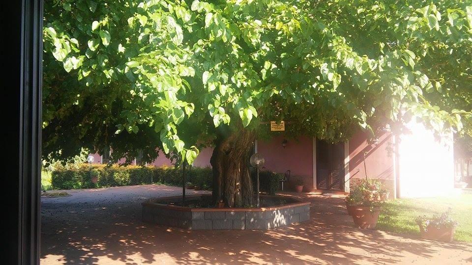 Agriturismo Il Pozzo Antico Mascali Buitenkant foto